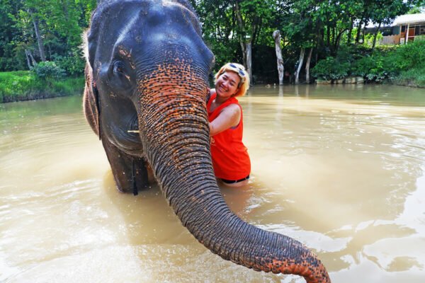 Special Half-Day Care Bathing