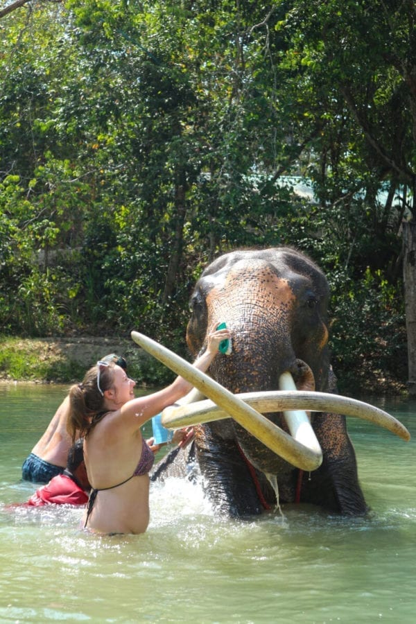 Feeding & Bathing Program 1 Hrs