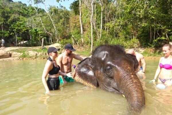 Feeding & Bathing Program 1 Hrs