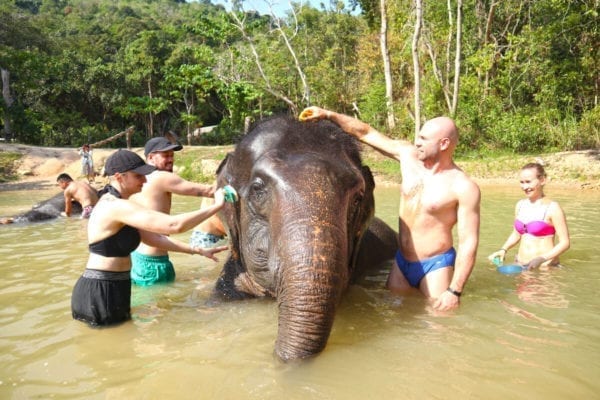 Feeding & Bathing Program 1 Hrs