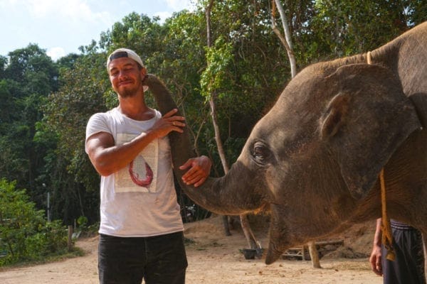 Enjoy Feeding food for elephant 30 mins