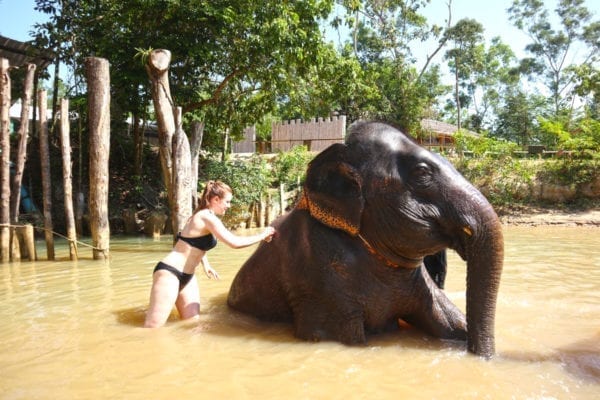 Funny bathing with elephant 30 mins