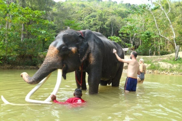 Funny bathing with elephant 30 mins