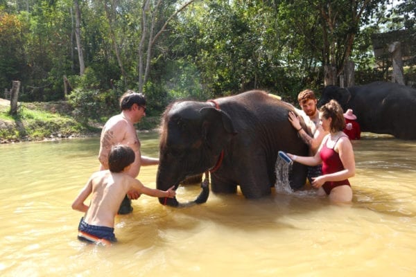 Funny bathing with elephant 30 mins