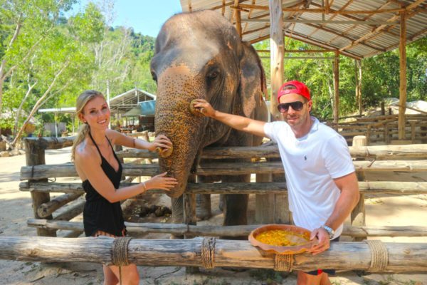 Private VIP Elephant Care Program